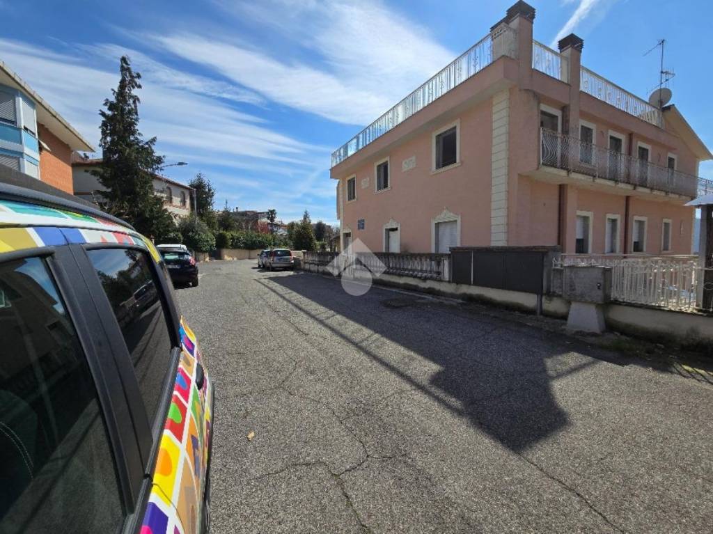 immagine annuncio 2 di 12