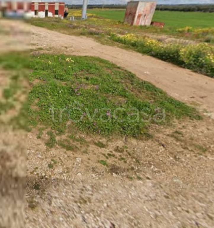 immagine annuncio 9 di 12