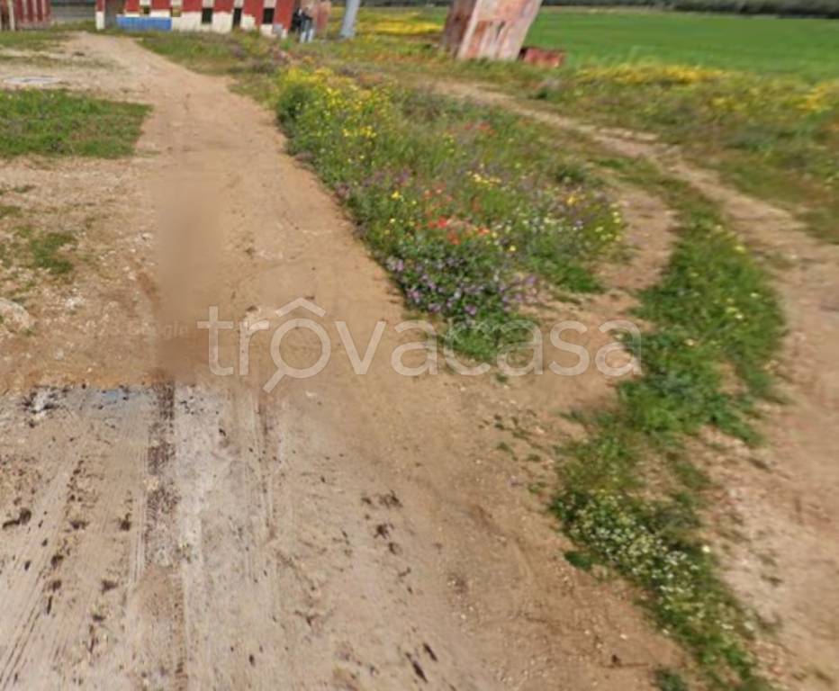 immagine annuncio 10 di 12