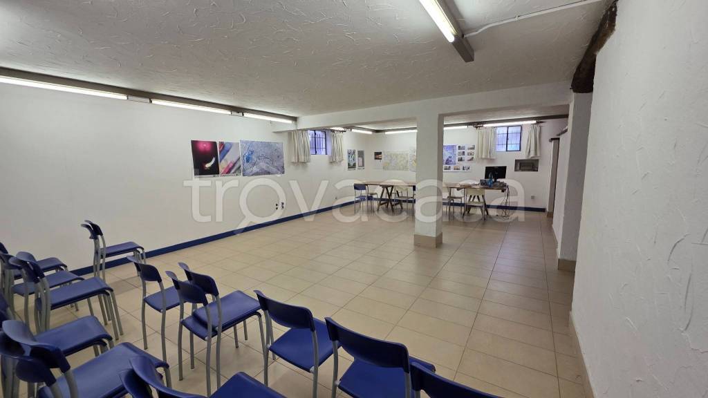 immagine annuncio 3 di 9