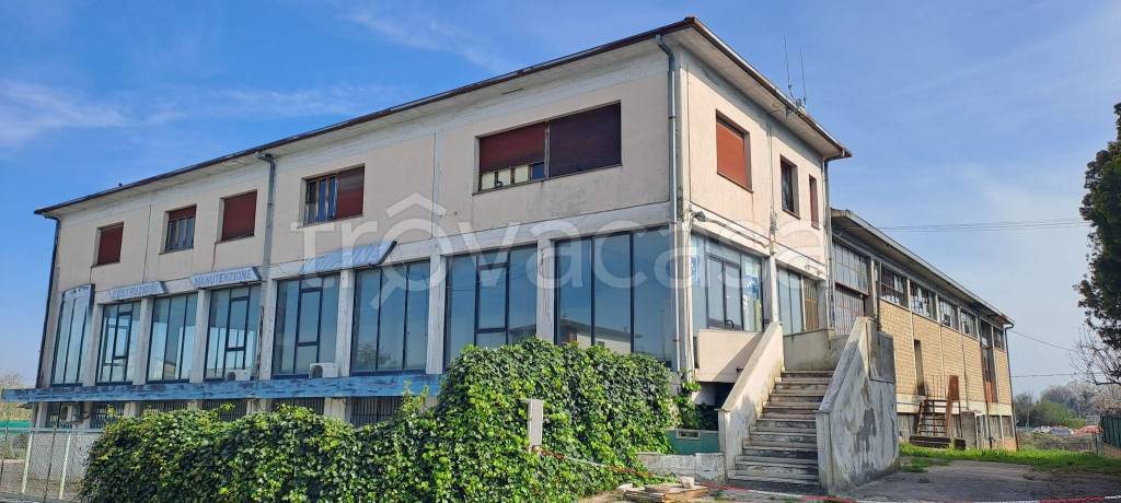 immagine annuncio 3 di 11