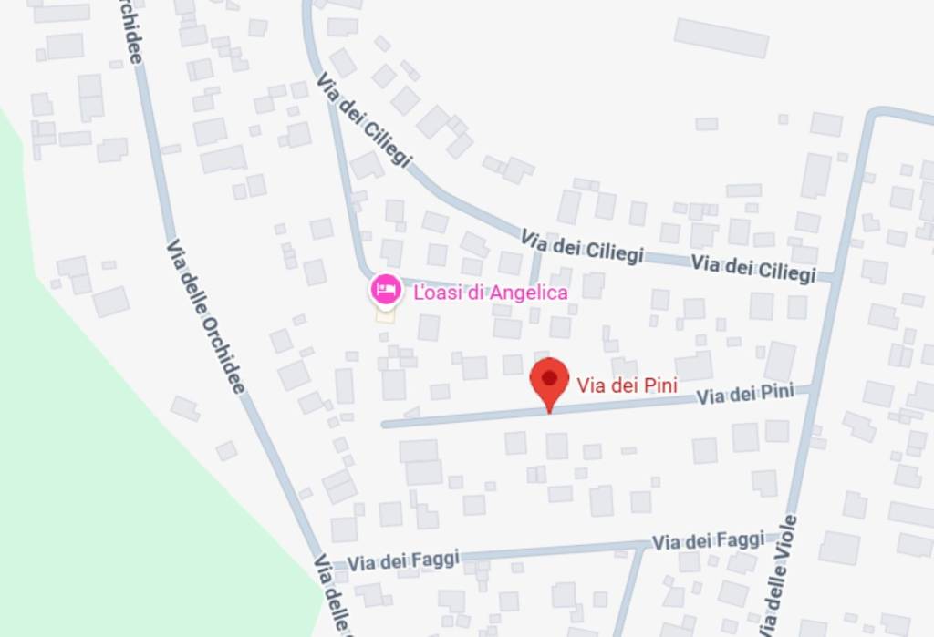 immagine annuncio 1 di 11