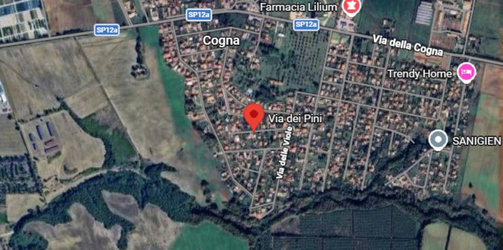 immagine annuncio 4 di 11