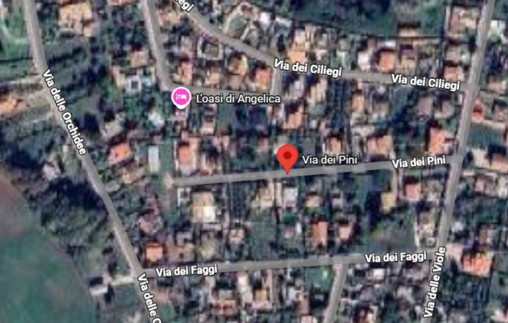 immagine annuncio 5 di 11