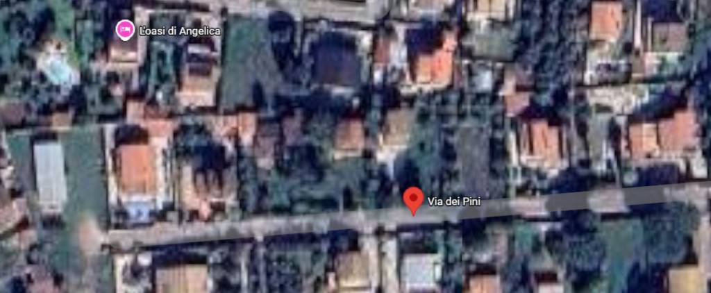 immagine annuncio 6 di 11