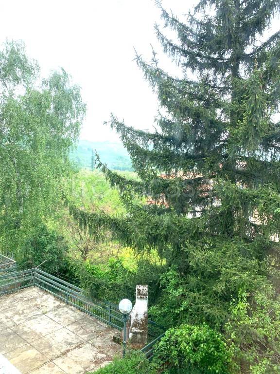 immagine annuncio 3 di 6