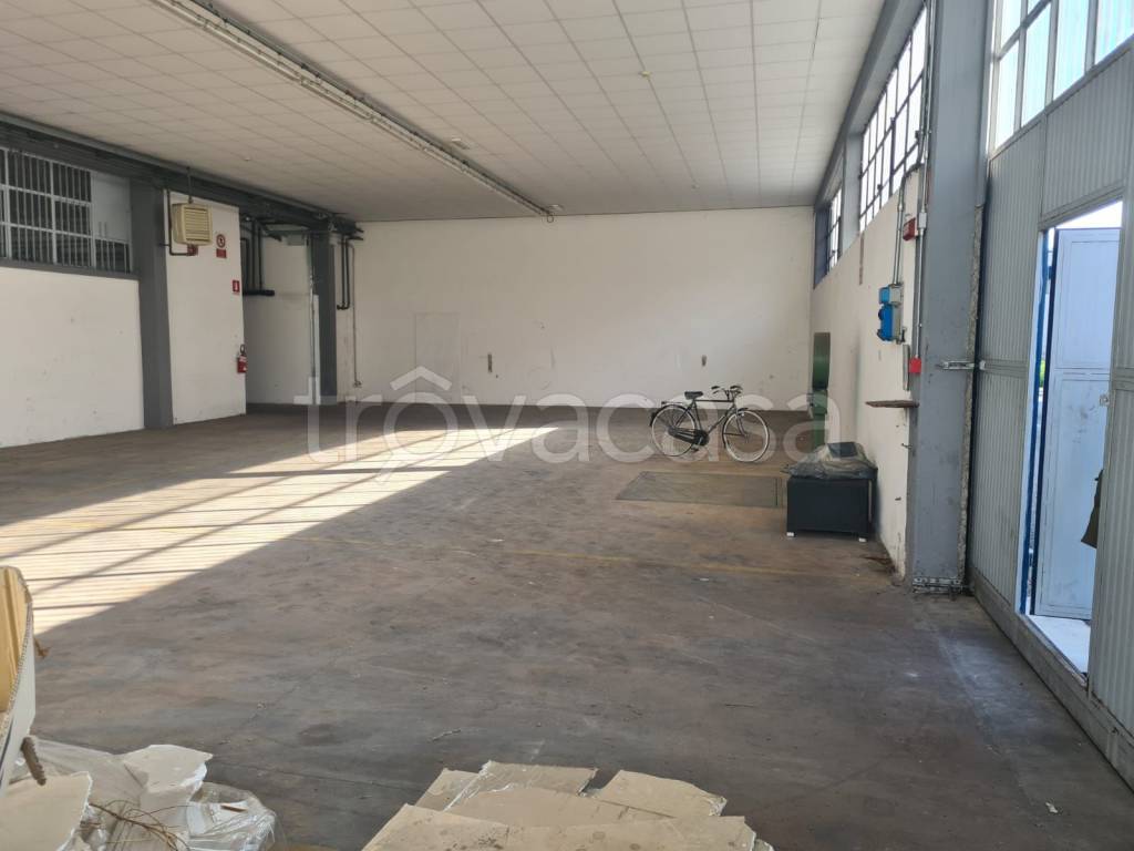 immagine annuncio 2 di 8