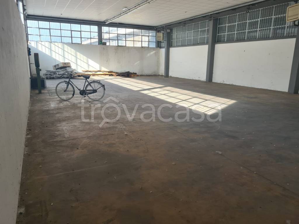 immagine annuncio 3 di 8