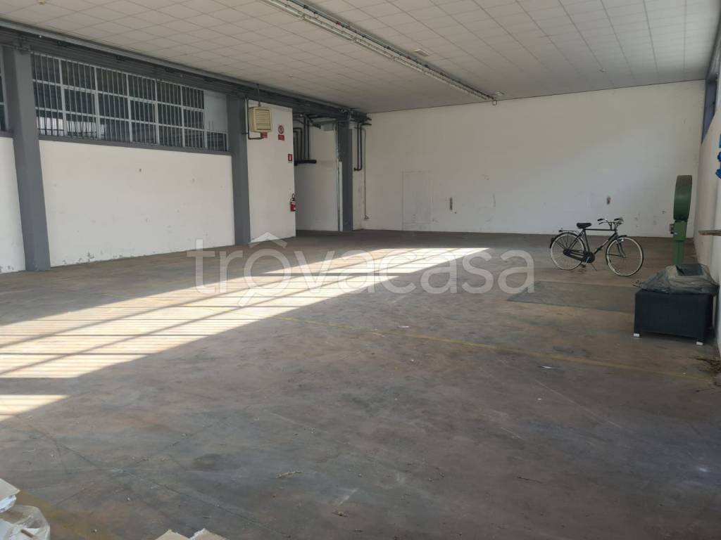 immagine annuncio 5 di 8