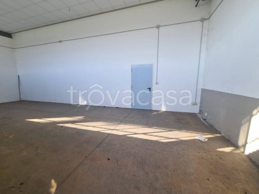 immagine annuncio 6 di 8