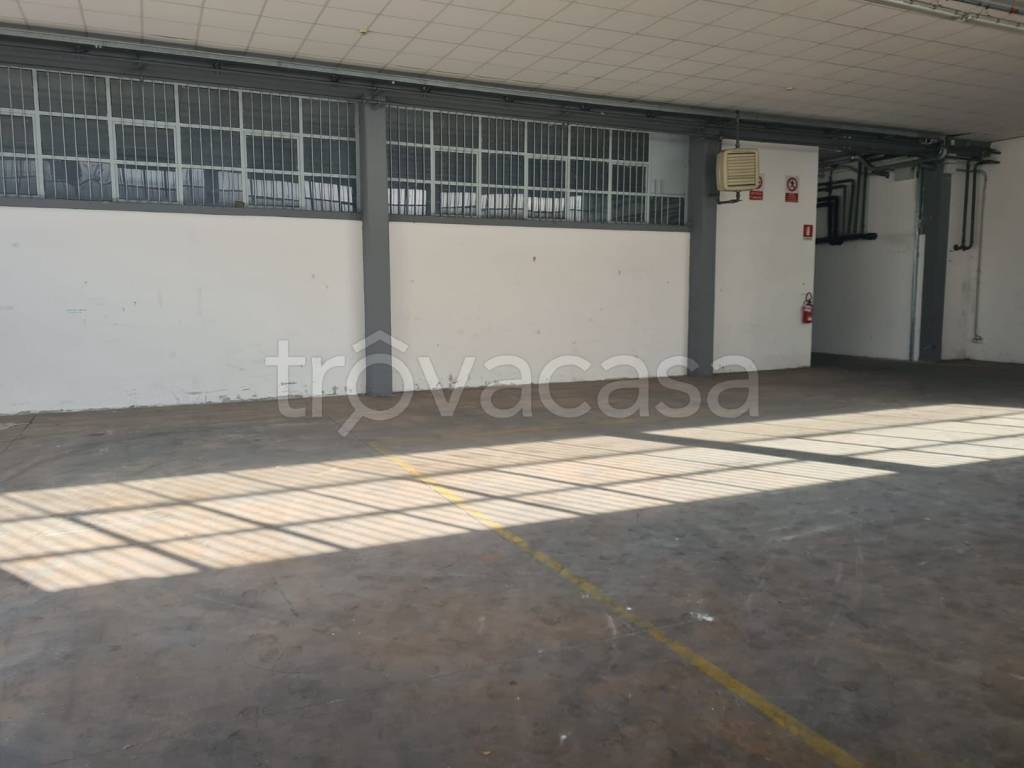 immagine annuncio 4 di 8