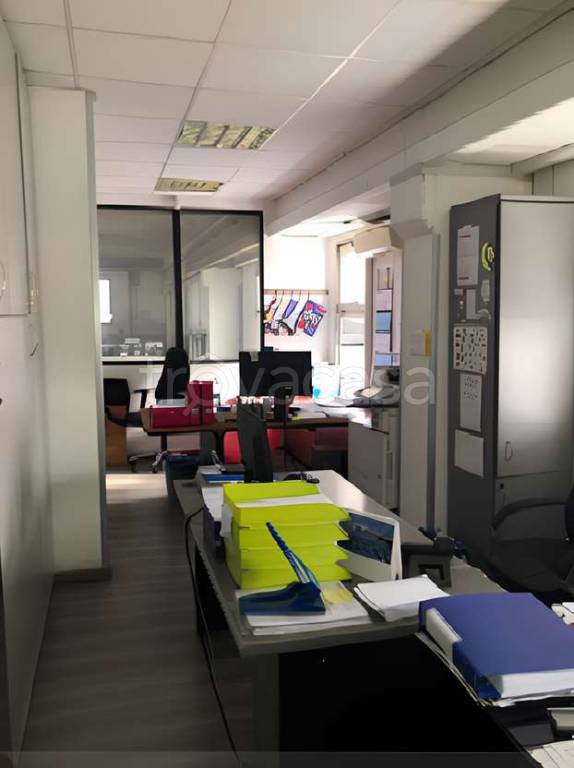 immagine annuncio 7 di 13