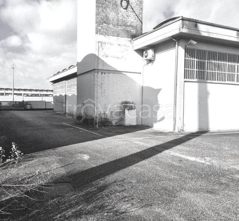 immagine annuncio 1 di 8