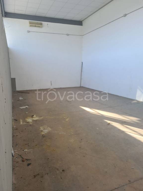 immagine annuncio 7 di 8