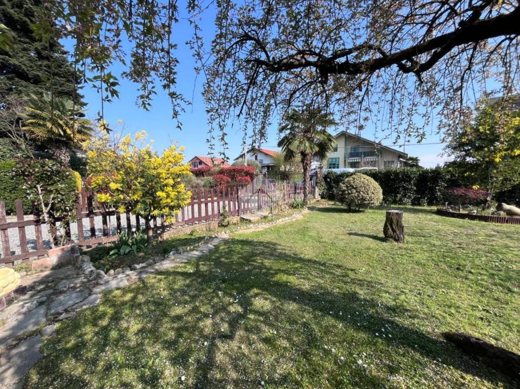 immagine annuncio 4 di 15