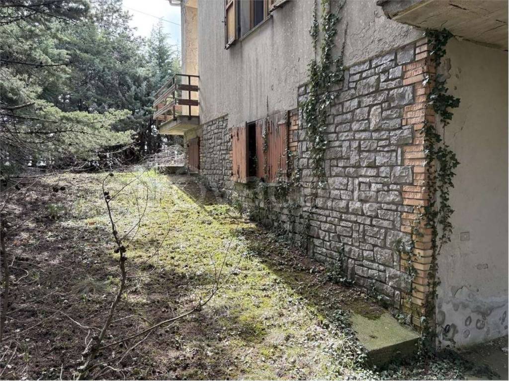 immagine annuncio 7 di 14