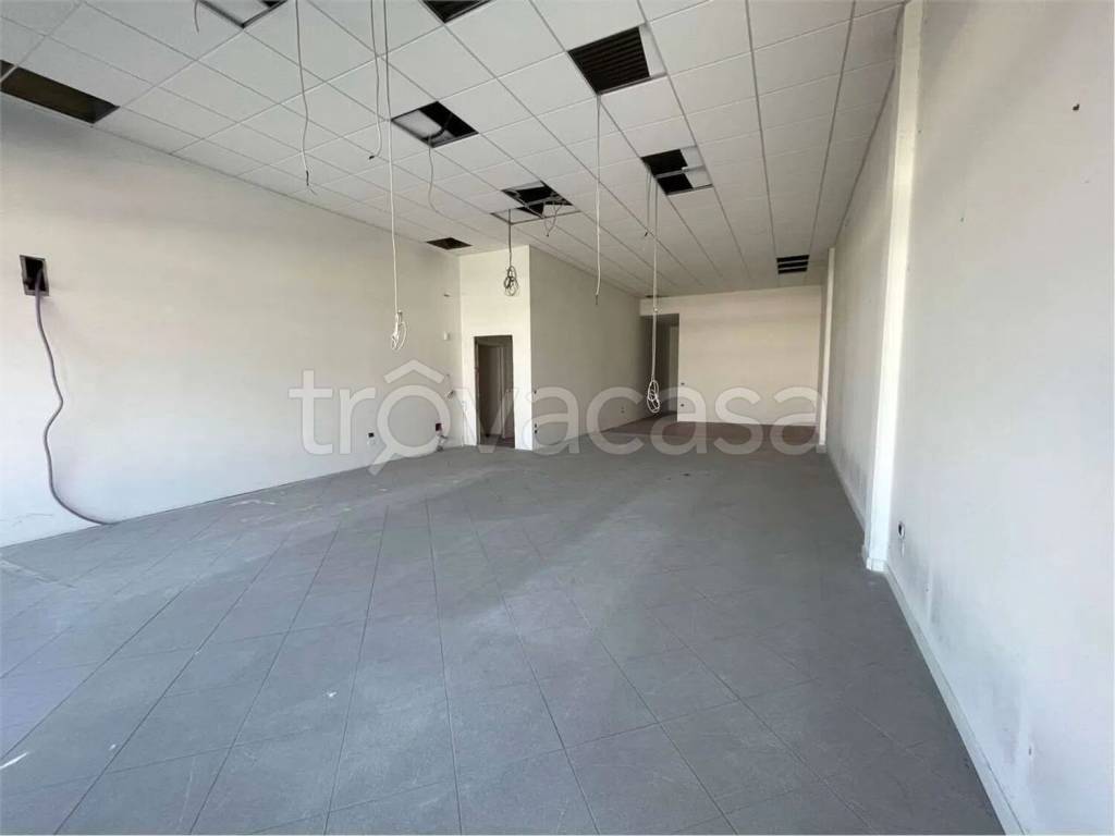 immagine annuncio 3 di 7