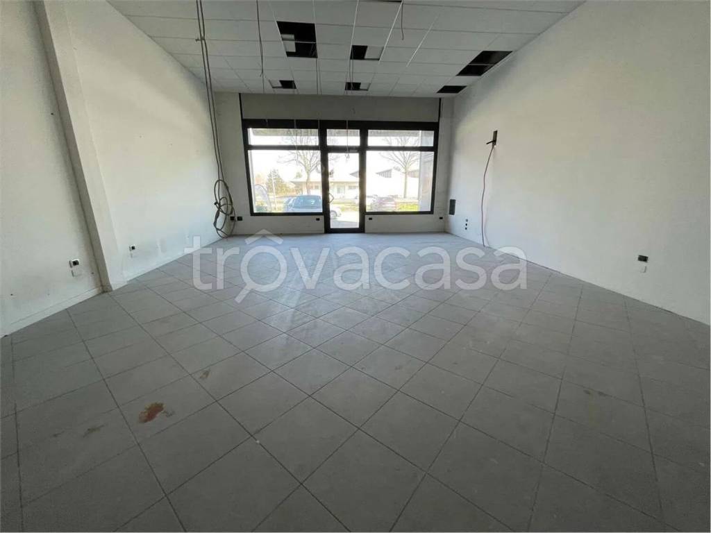 immagine annuncio 4 di 7