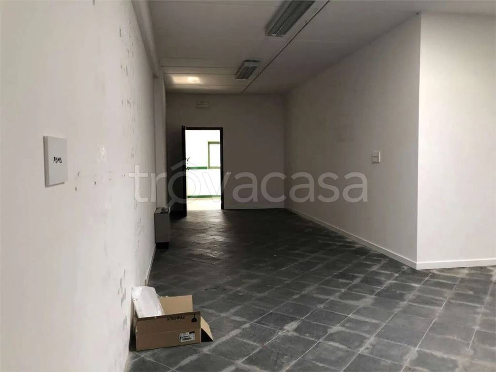 immagine annuncio 5 di 9