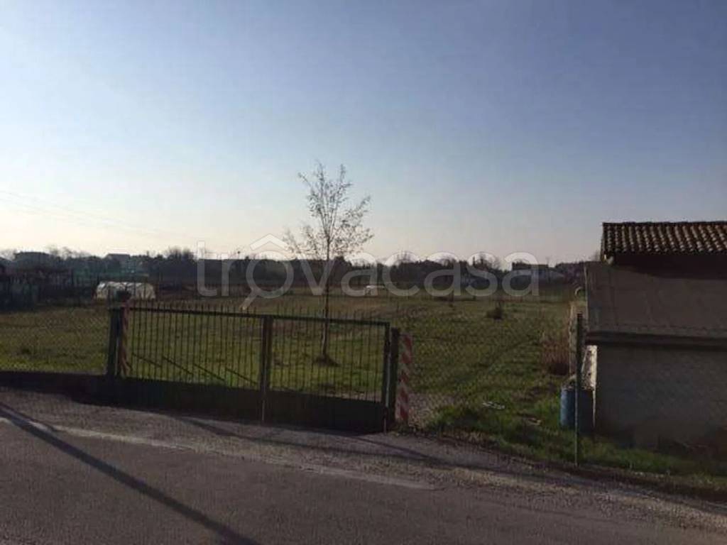 immagine annuncio 5 di 9