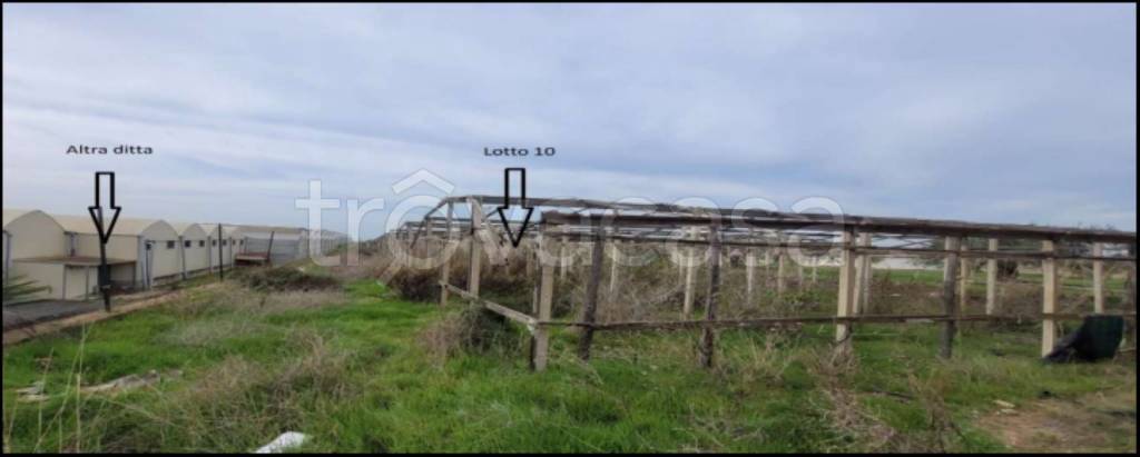 immagine annuncio 1 di 14