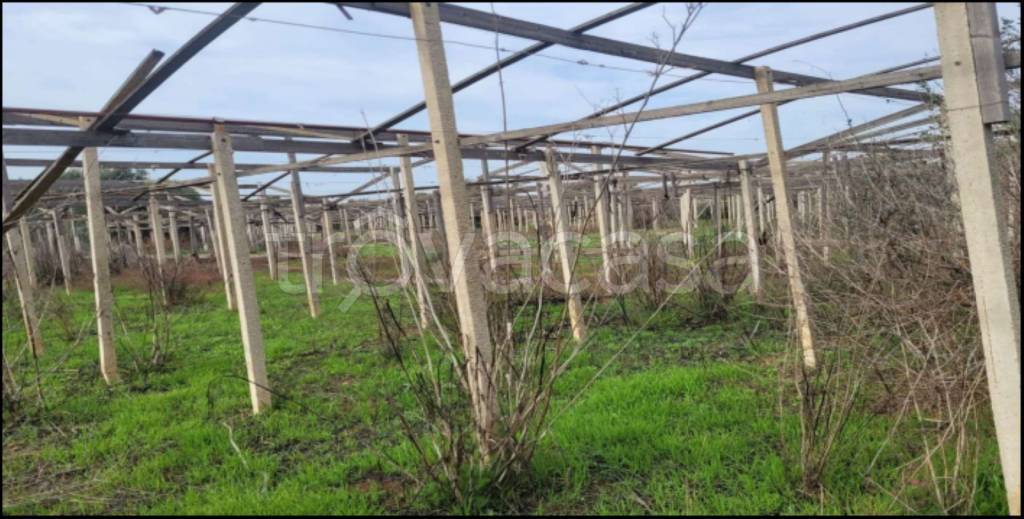 immagine annuncio 7 di 14