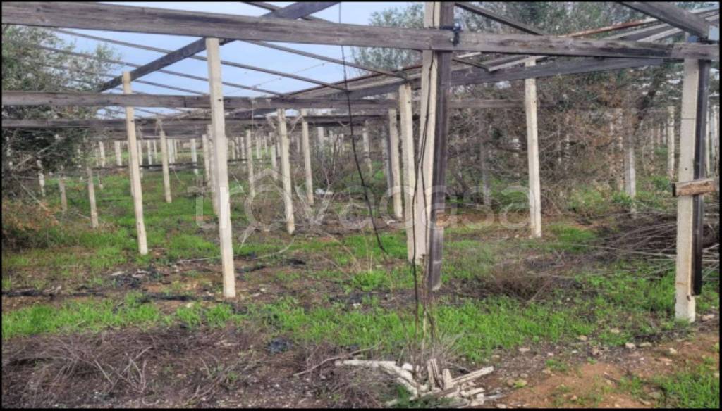 immagine annuncio 8 di 14