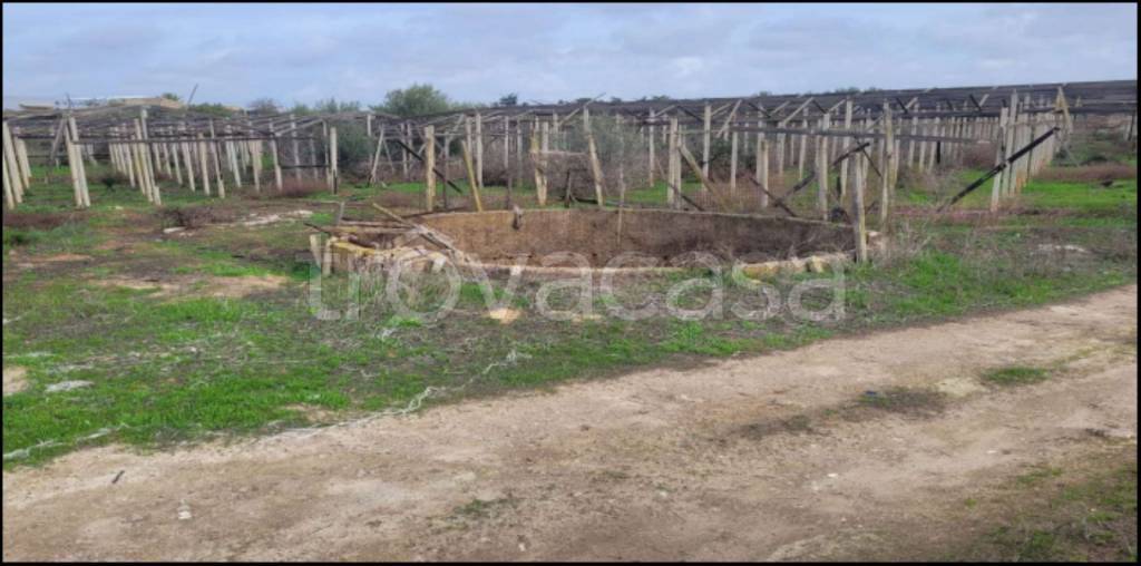 immagine annuncio 9 di 14