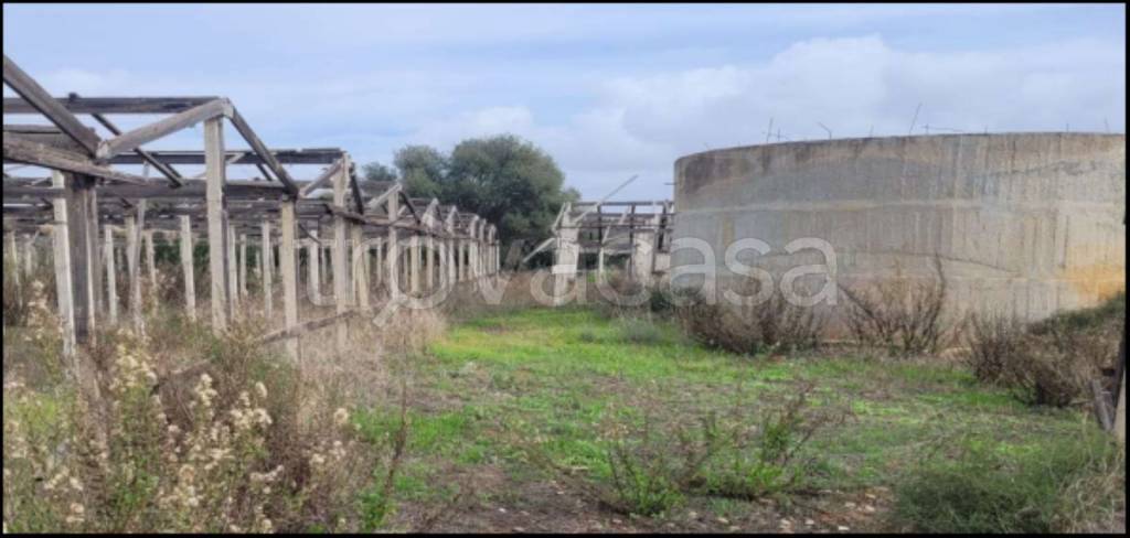 immagine annuncio 11 di 14