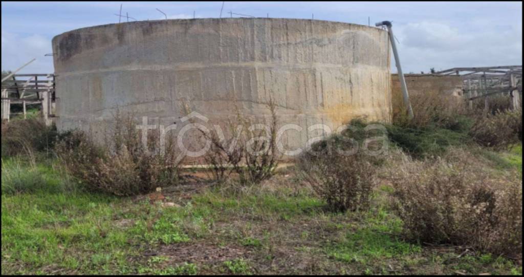 immagine annuncio 12 di 14