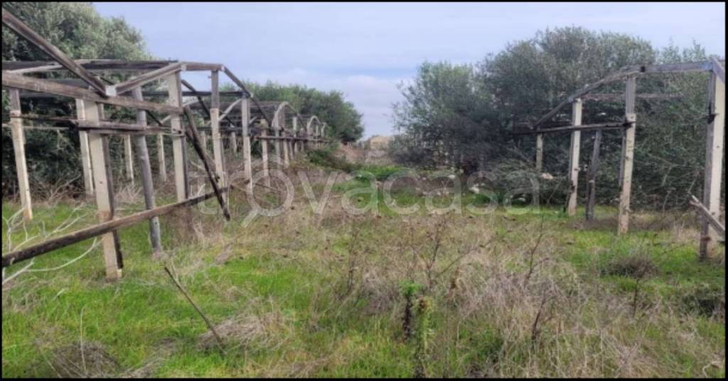 immagine annuncio 13 di 14