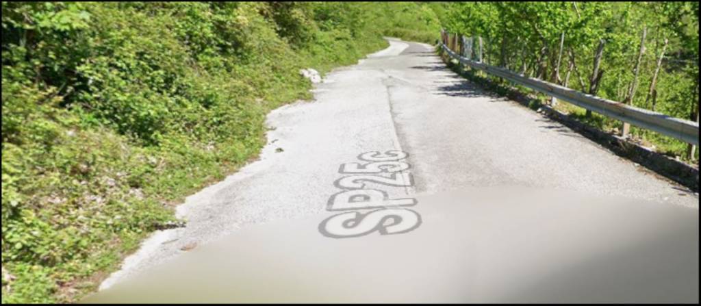 immagine annuncio 2 di 12