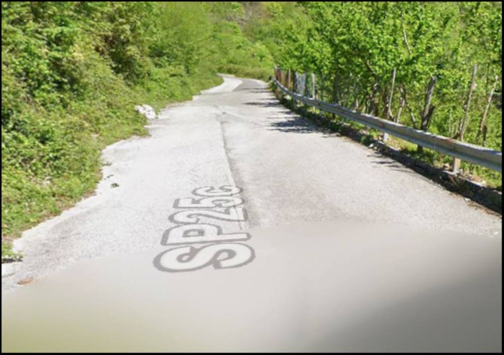 immagine annuncio 3 di 12