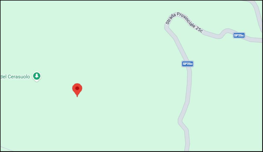 immagine annuncio 10 di 12