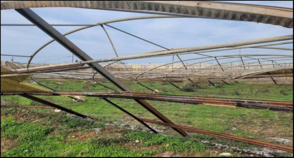 immagine annuncio 5 di 12