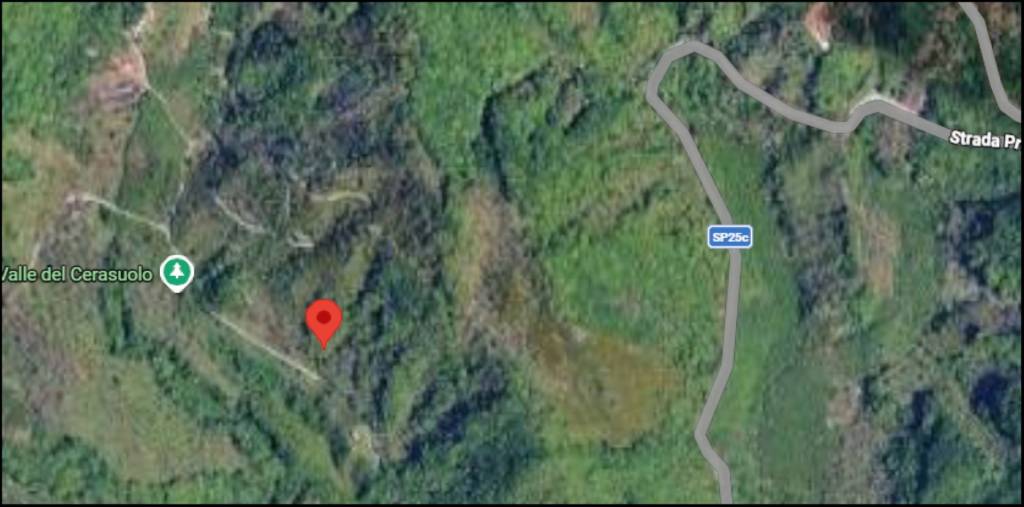 immagine annuncio 11 di 12