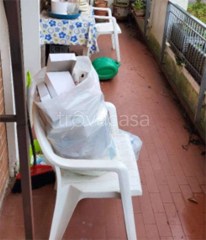 immagine annuncio 12 di 13