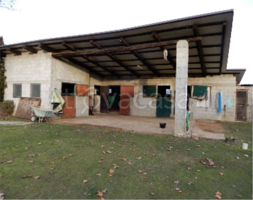 immagine annuncio 1 di 12