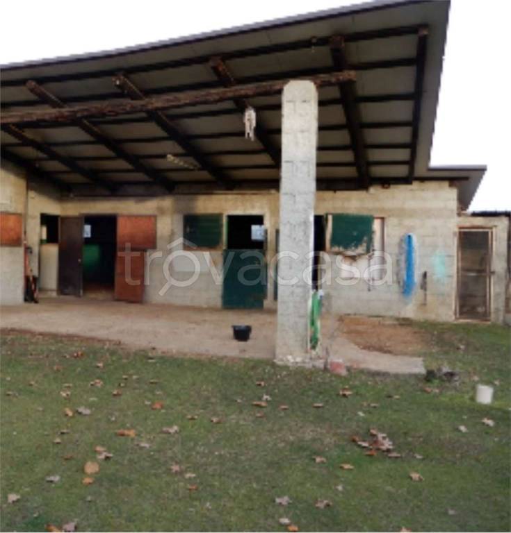 immagine annuncio 3 di 12