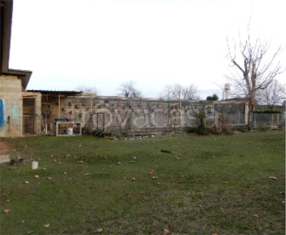 immagine annuncio 4 di 12