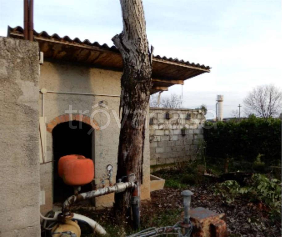 immagine annuncio 5 di 12