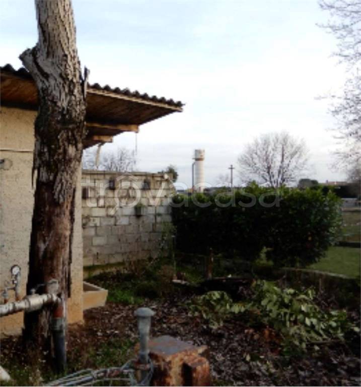 immagine annuncio 7 di 12