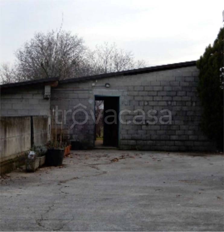 immagine annuncio 9 di 12