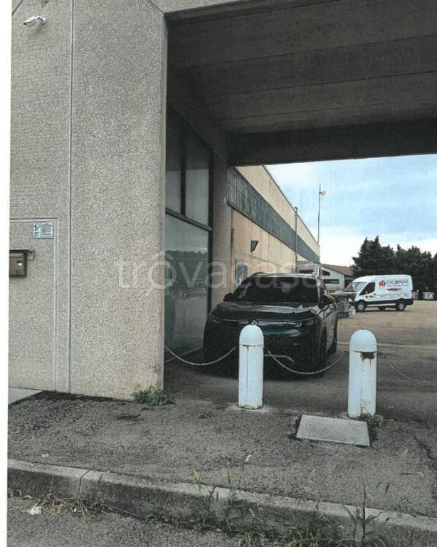 immagine annuncio 2 di 12