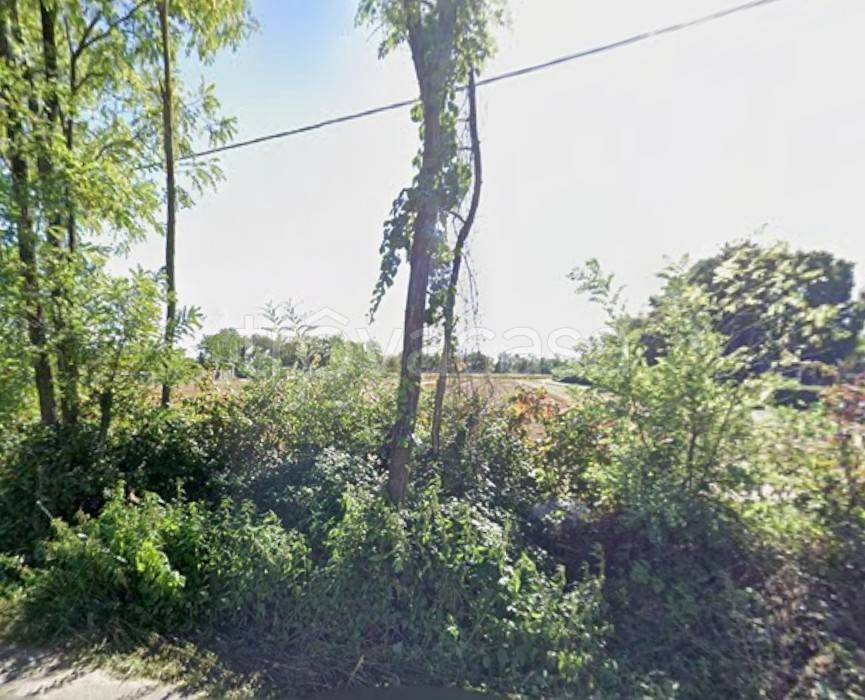 immagine annuncio 2 di 6