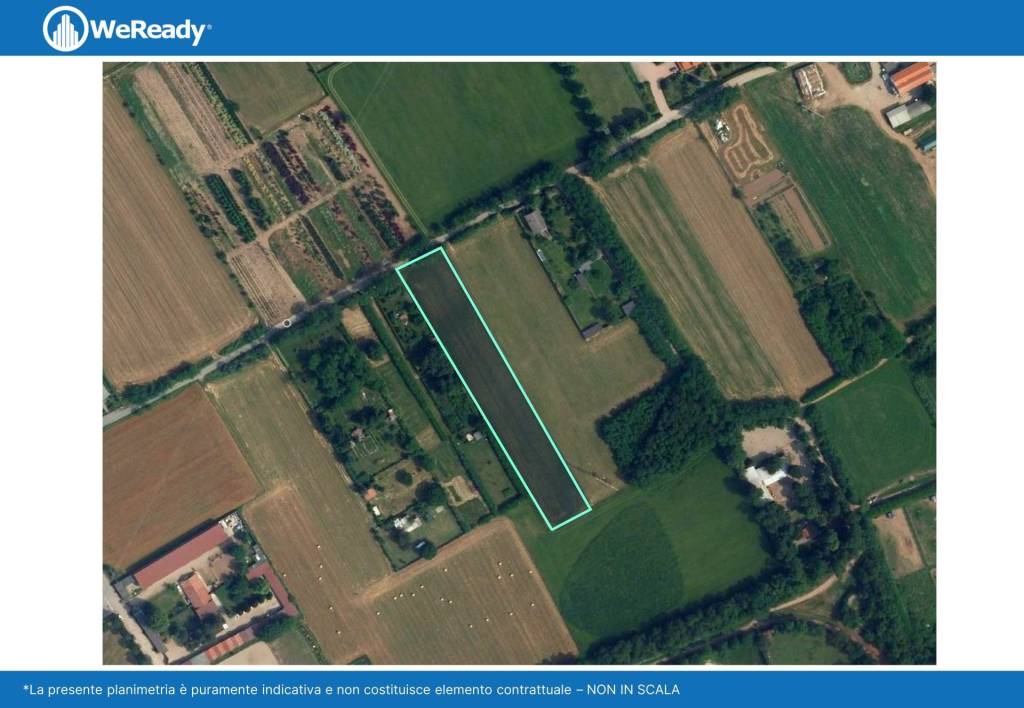 immagine annuncio 5 di 6