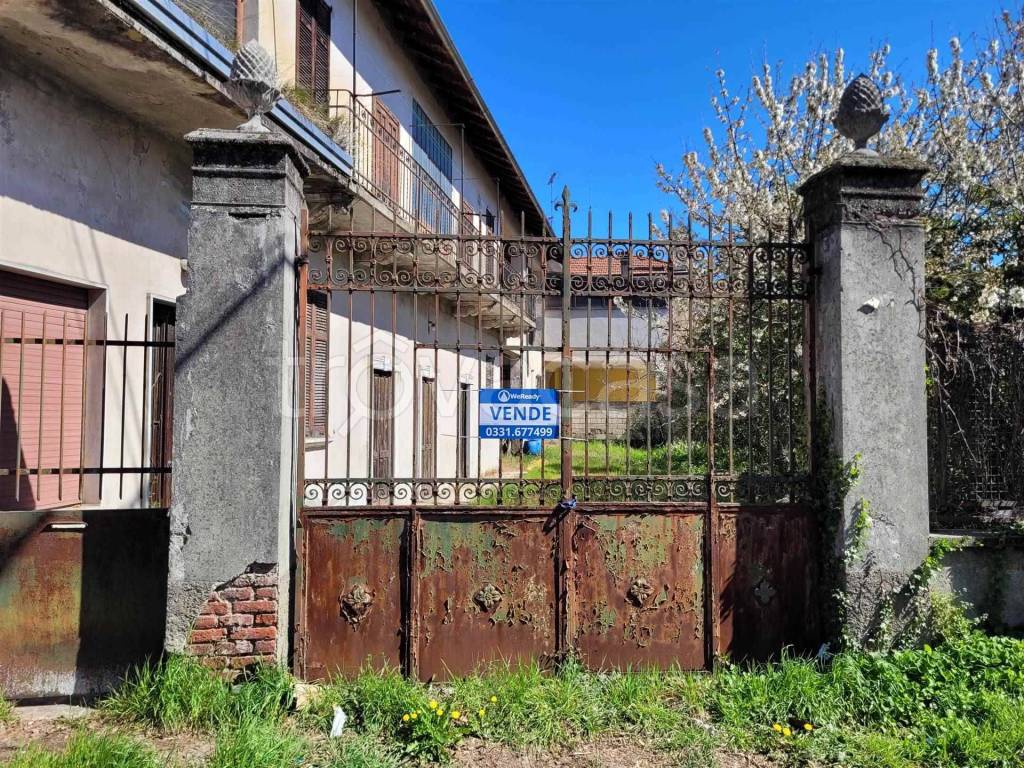 immagine annuncio 12 di 15