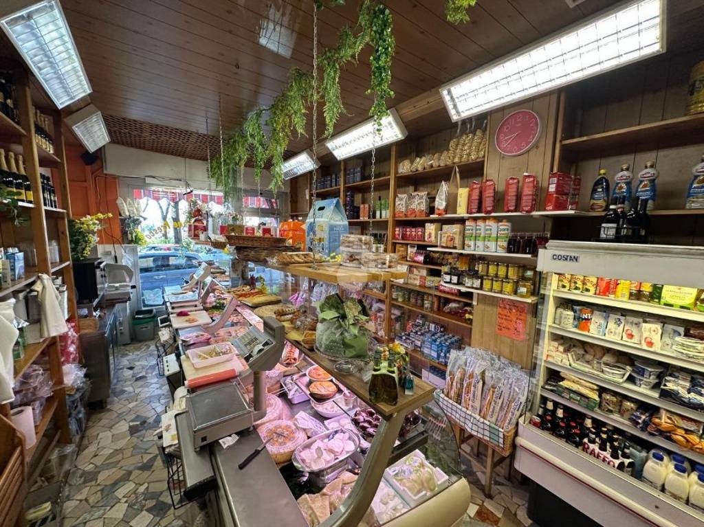 immagine annuncio 2 di 12