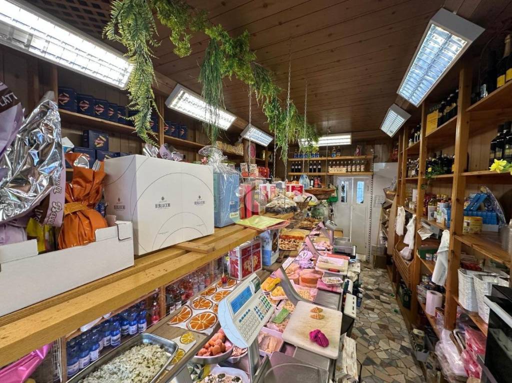 immagine annuncio 3 di 12