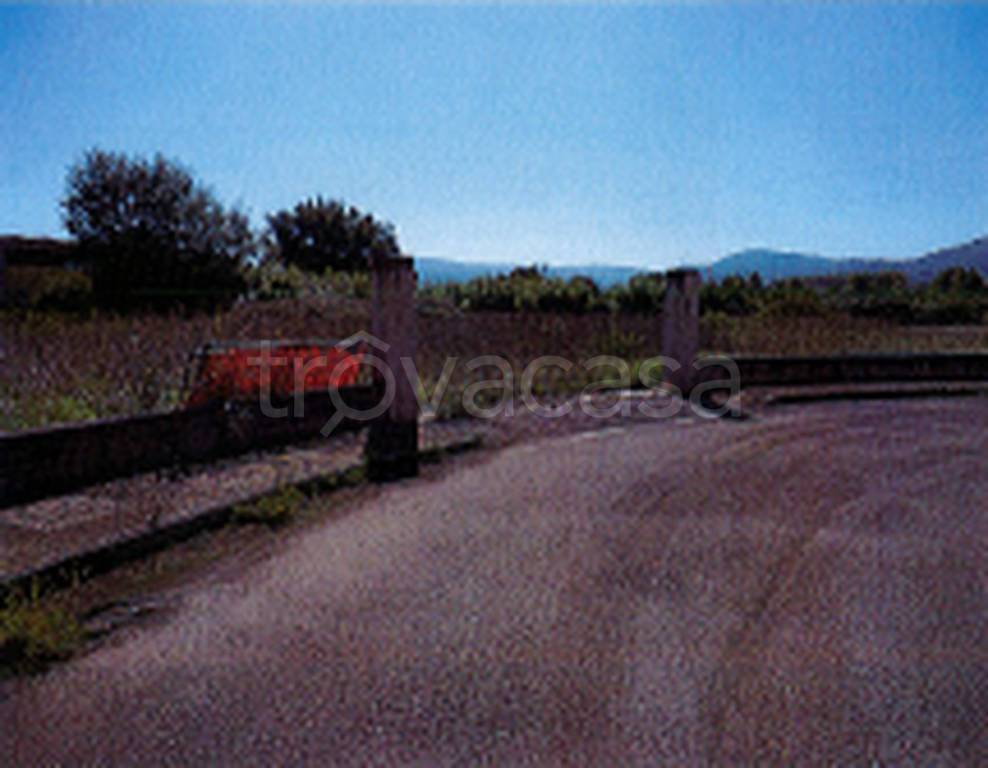 immagine annuncio 10 di 11